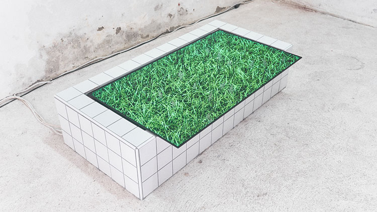 Schwellen cover image